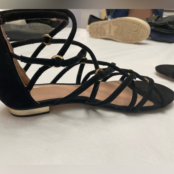 Top Shop Size 7 Warrior Sandals.  Black suede & Gold Highlights. Zips in back. - Picture 9 of 13